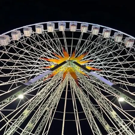 Appartamento Palais Riviera Chaleureux Lumineux Et Climatise